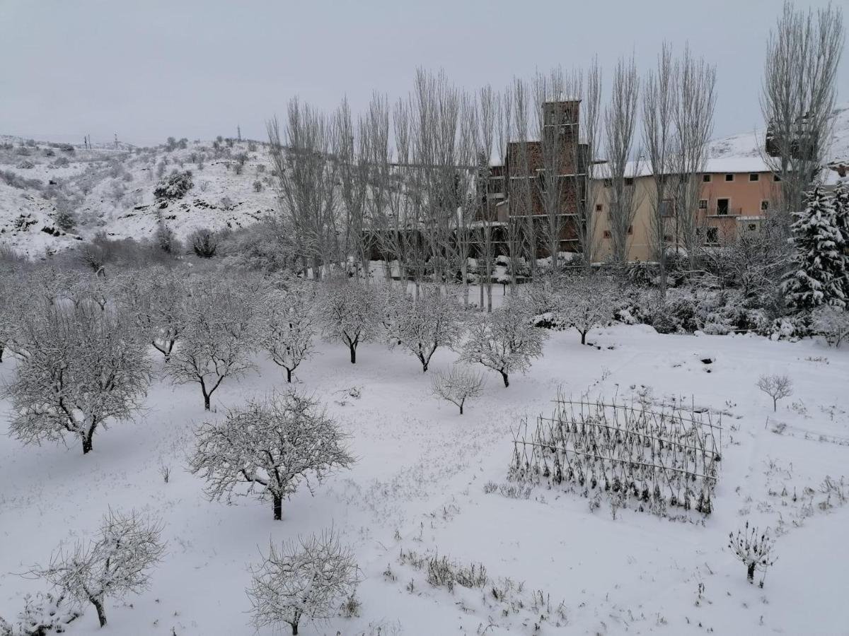 Apartamentos Rurales Camino Del Cid Castejon de las Armas Luaran gambar