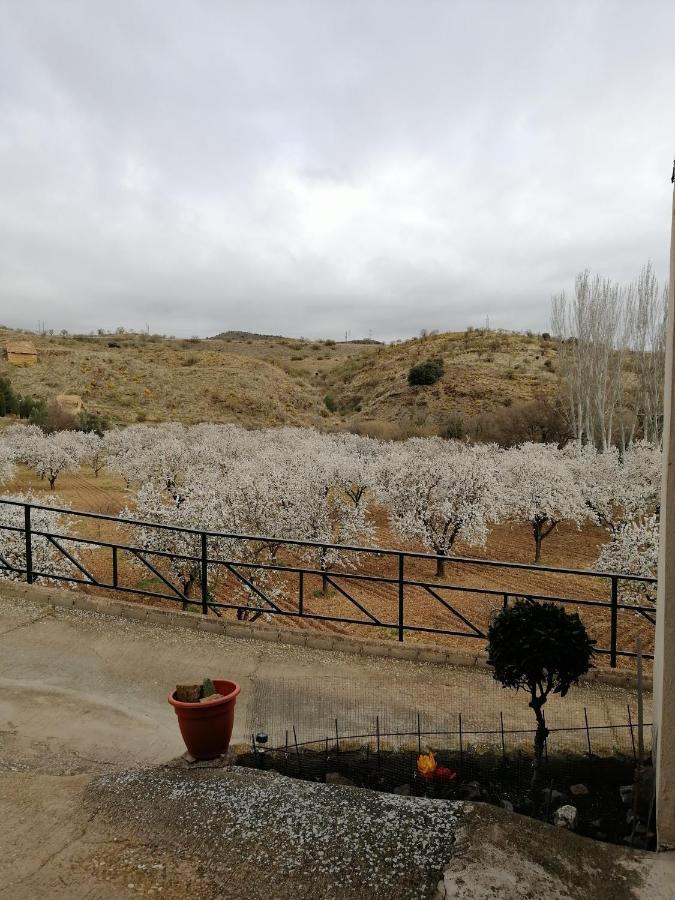 Apartamentos Rurales Camino Del Cid Castejon de las Armas Luaran gambar