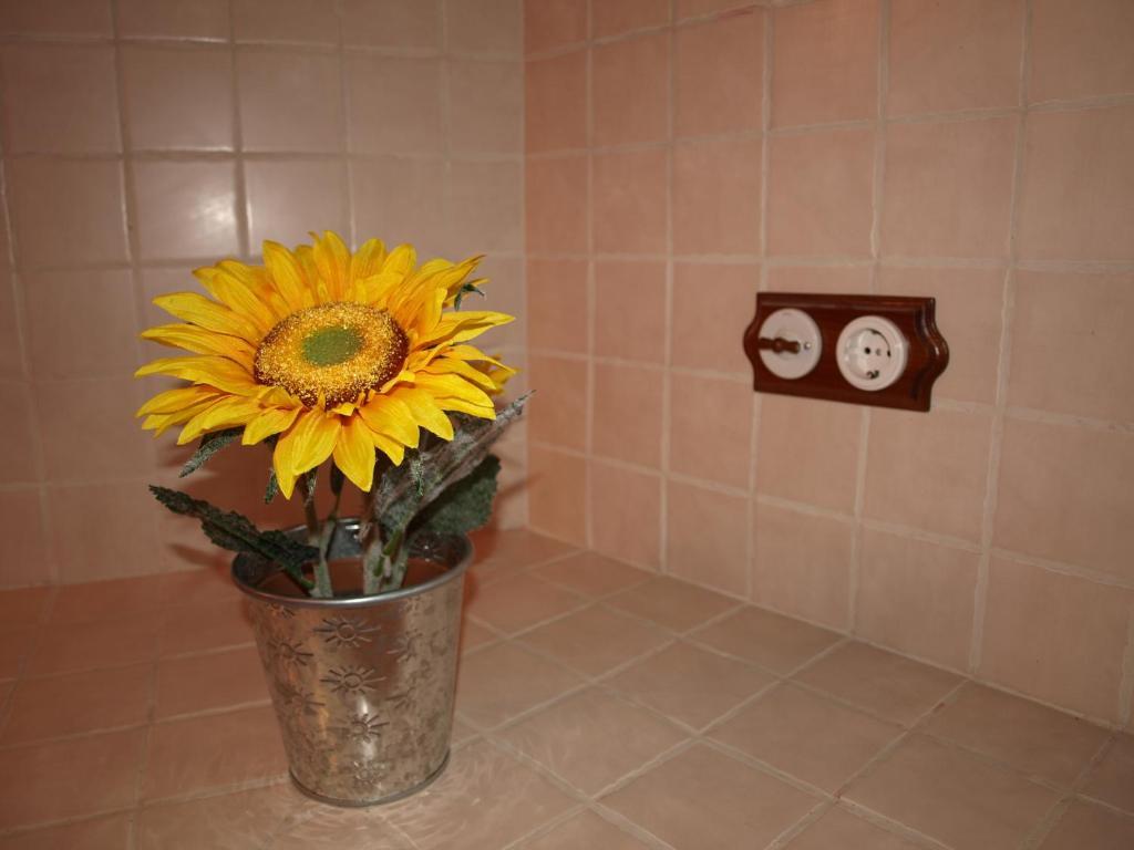 Apartamentos Rurales Camino Del Cid Castejon de las Armas Bilik gambar